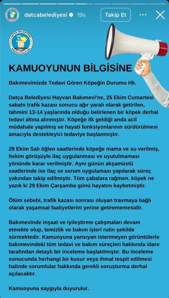 datça belediyesi hayvan bakımevi, datça hayvan bakımevi, datça kontes, datça belediyesi hayvan bakımevi kontes, datça belediyesi ihmal