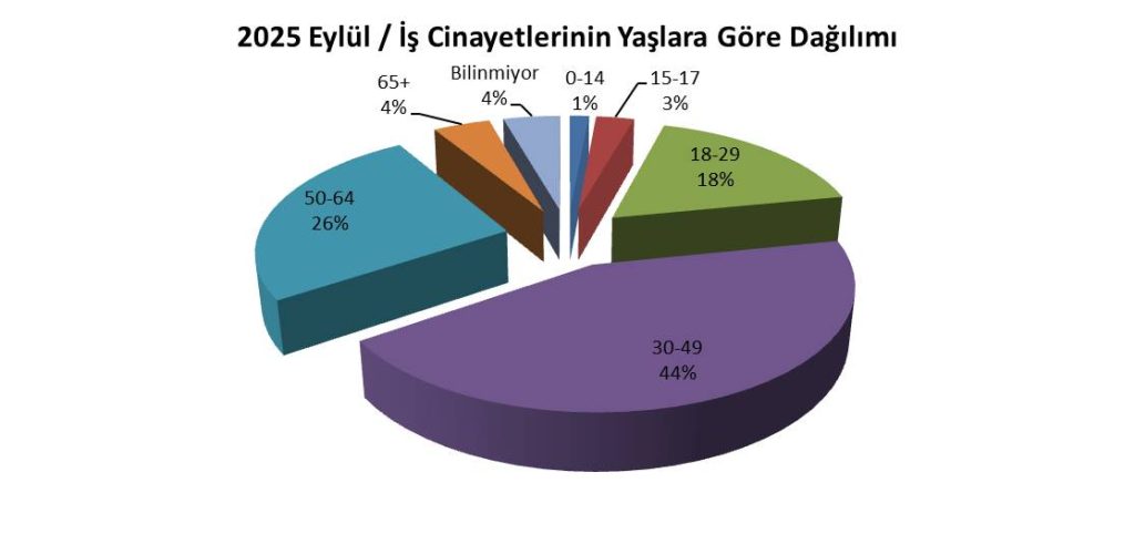 isig meclisi, isig, iş cinayeti raporu, iş cinayeti, isig meclisi iş cinayeti raporu