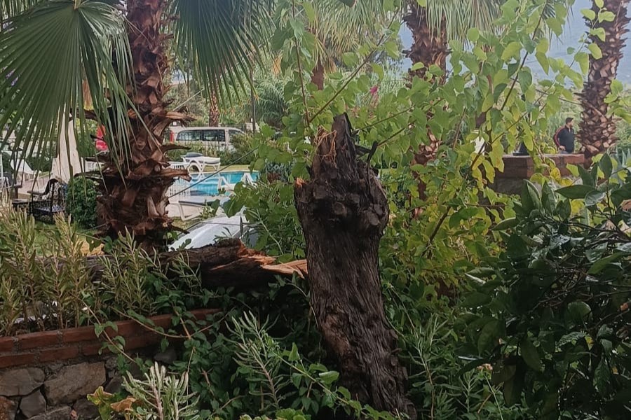 fethiye elektrik, fethiye elektrik kesintisi, fethiye kuş cenneti, fethiye şiddetli yağış, fethiye