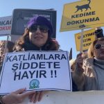 milasta aracın arkasına bağlanan köpek, milasta arabayla sürüklenen köpek, milasta arabayla sürüklenen köpeğin sahibi, milas, milas köpek