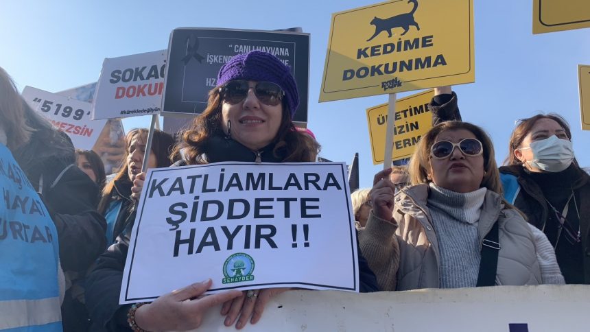 milasta aracın arkasına bağlanan köpek, milasta arabayla sürüklenen köpek, milasta arabayla sürüklenen köpeğin sahibi, milas, milas köpek