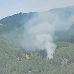 kavaklıdere orman yangını, kavaklıderedeki orman yangını söndürüldü mü, kavaklıdere yangın, kavaklıdere yangın, kavaklıdere