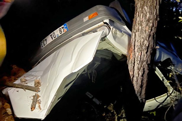 menteşede uçuruma yuvarlanan araç, menteşe kaza, menteşe trafik kazası, muğla trafik kazası, muğla kaza