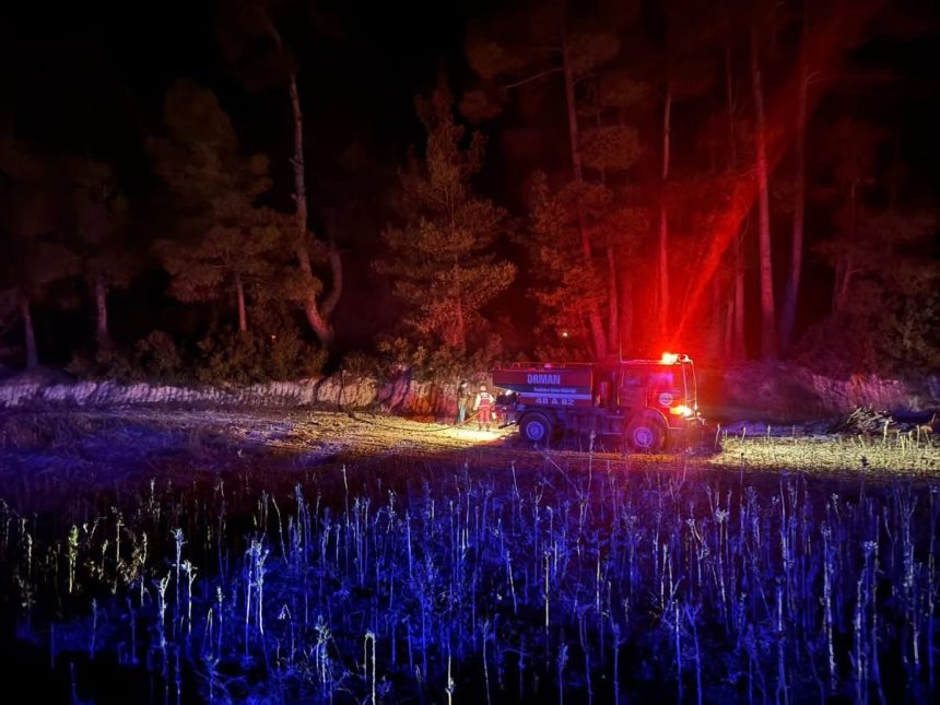 kavaklıdere orman yangını, orman yangını, kavaklıdere yangın, muğla orman yangını, Çayboyu Mahallesi yangın