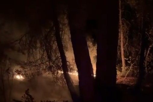 kavaklıdere orman yangını, orman yangını, kavaklıdere yangın, muğla orman yangını, Çayboyu Mahallesi yangın