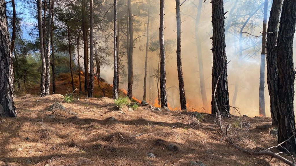 seydikemer son dakika yangın, seydilkemer orman ,muğla yangın, seydikemer orman yangını