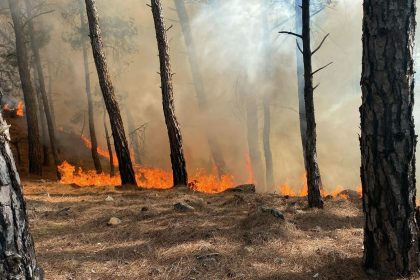 seydikemer son dakika yangın, seydilkemer orman ,muğla yangın, seydikemer orman yangını