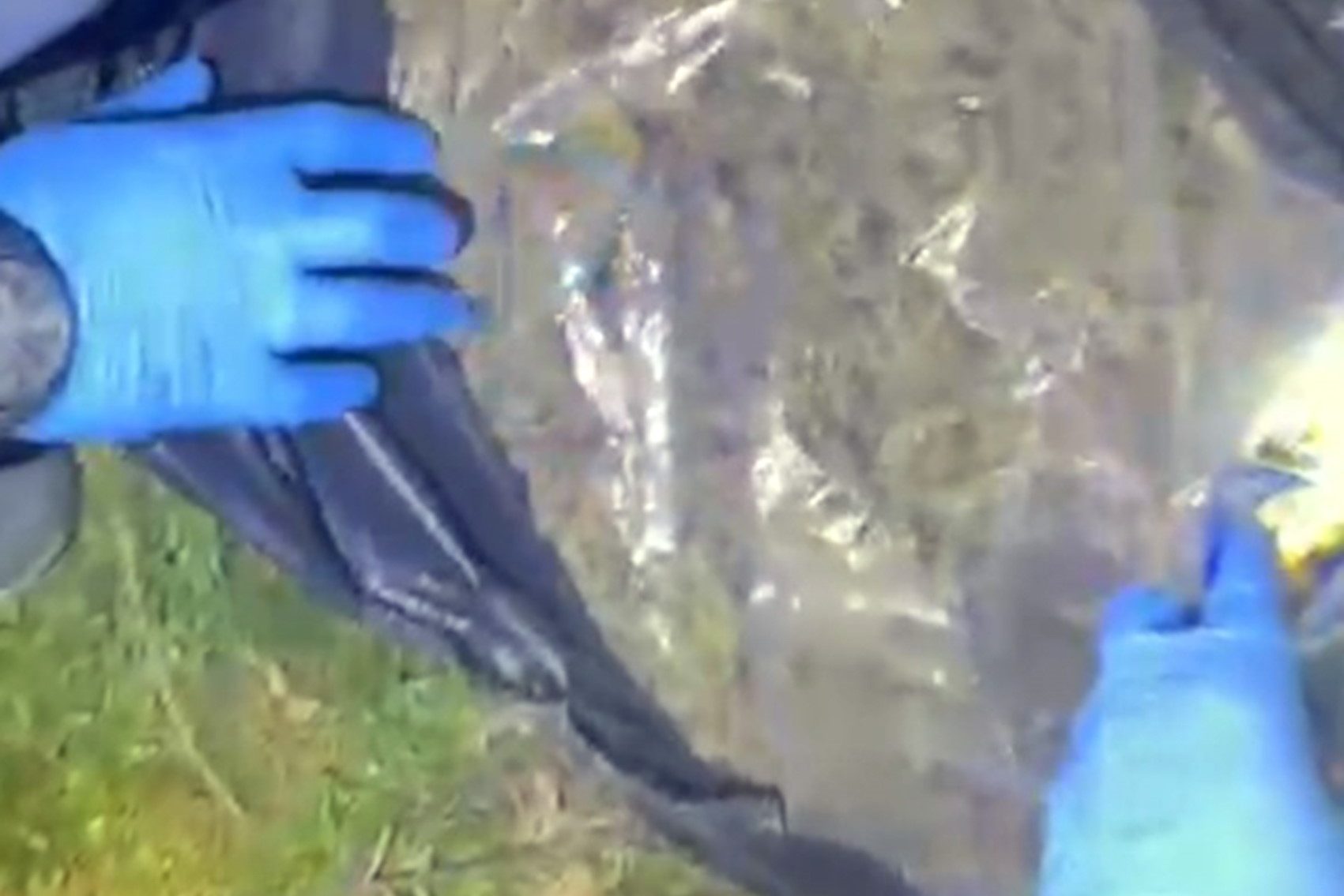 menteşe uyuşturucu operasyonu, menteşe uyuşturucu, menteşe kovalamaca, menteşe, menteşe uyuşturucu yakalandı