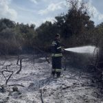 yatağan yangın, yatağan üzüm bağları, yatağan üzüm bağları yangın, yatağan, yatağan bozüyük