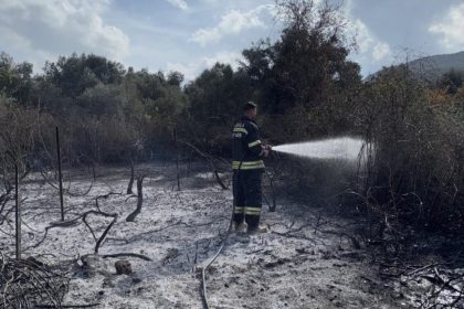 yatağan yangın, yatağan üzüm bağları, yatağan üzüm bağları yangın, yatağan, yatağan bozüyük