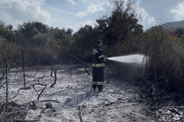 yatağan yangın, yatağan üzüm bağları, yatağan üzüm bağları yangın, yatağan, yatağan bozüyük