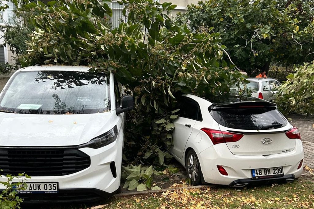 marmaris yelkenli, marmaris sağanak yağış, marmaris fırtına, marmaris, marmariste kıyıya vuran yelkenliler