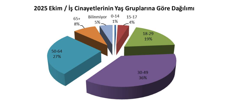 ekim iş cinayeti, isig ekim ayı iş cinayeti raporu, ekim ayı iş cinayeti raporu, iş cinayeti raporu, isig meclisi