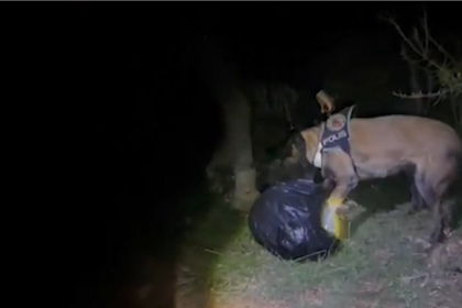 menteşe uyuşturucu operasyonu, menteşe uyuşturucu, menteşe kovalamaca, menteşe, menteşe uyuşturucu yakalandı