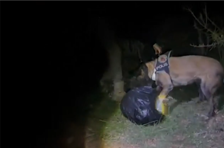 menteşe uyuşturucu operasyonu, menteşe uyuşturucu, menteşe kovalamaca, menteşe, menteşe uyuşturucu yakalandı