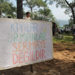 akyaka orman kampı, akyaka orman kampı imar planı, akyaka orman kampı imar planı ihalesi, muğla valiliği akyaka orman kampı, gökova ekoloji meclisi