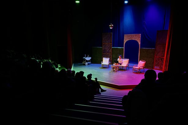 Bir Film Yıldızının Dilemması tiyatro oyunu Bodrum Belediyesi Şehir Tiyatrosu Seda Tansuker dünya prömiyeri Cansın Türkdoğan