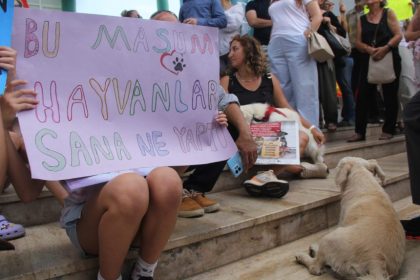 milas aracın arkasına bağlanan köpek, milasta arabanın arkasına bağlanan köpek, milas köpek