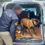 genel asayiş uygulaması Muğla asayiş denetimleri muğla il emniyet müdürlüğü işlem başlatıldı muğla denetimler