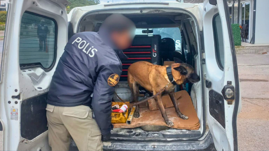 genel asayiş uygulaması Muğla asayiş denetimleri muğla il emniyet müdürlüğü işlem başlatıldı muğla denetimler