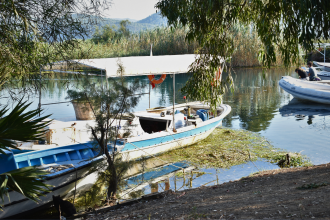 kanatlı hayvanlarda kuş gribi yabani kanatlı hayvanlar kanatlı hayvanlarda kuş gribi akyaka mahallesi