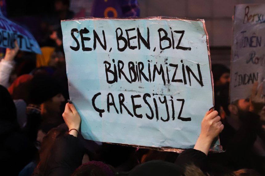 bodrum kadın dayanışma derneği, 25 gün 25 bilgi, bodrum, bodrum kadın dayanışma derneği 25 gün 25 bilgi, 25 kasım