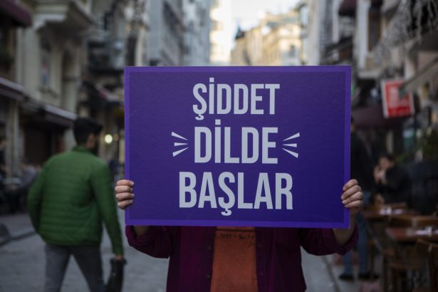 sözlü şiddet, sözlü şiddet nedir, bodrum kadın dayanışma derneği, bkd 25 gün 25 gerçek, bkd sözlü şiddet