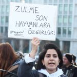 datça vegan, 1 kasım dünya vegan günü, sedat yağcıoğlu, vegan, datçada vegan olmak