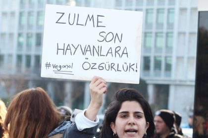 datça vegan, 1 kasım dünya vegan günü, sedat yağcıoğlu, vegan, datçada vegan olmak