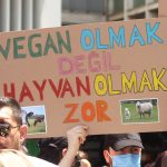 fethiye vegan kolektifi, fethiye vegan, 1 kasım dünya vegan günü, vegan, dünya vegan günü