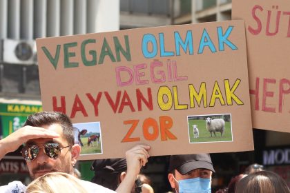 fethiye vegan kolektifi, fethiye vegan, 1 kasım dünya vegan günü, vegan, dünya vegan günü