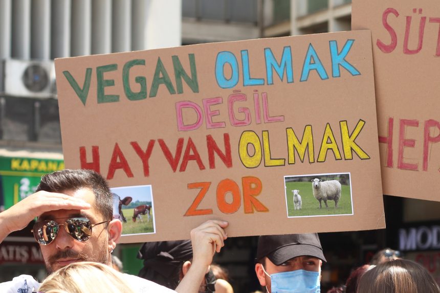 fethiye vegan kolektifi, fethiye vegan, 1 kasım dünya vegan günü, vegan, dünya vegan günü