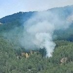 kavaklıderede orman yangını, kavaklıdere yangın, kavaklıdere orman yangını, kavaklıdere, kavaklıdere çamlıyurt mahallesi