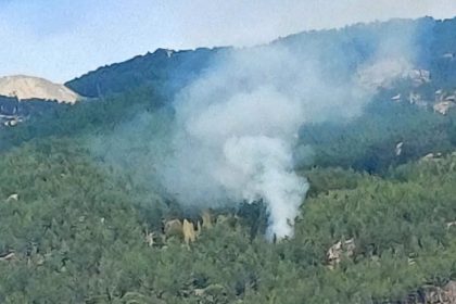 kavaklıderede orman yangını, kavaklıdere yangın, kavaklıdere orman yangını, kavaklıdere, kavaklıdere çamlıyurt mahallesi