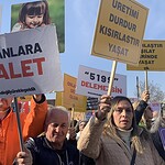 HayFed açıklama, hayfed sahipsiz hayvan açıklaması, hayfed sokak hayvanları