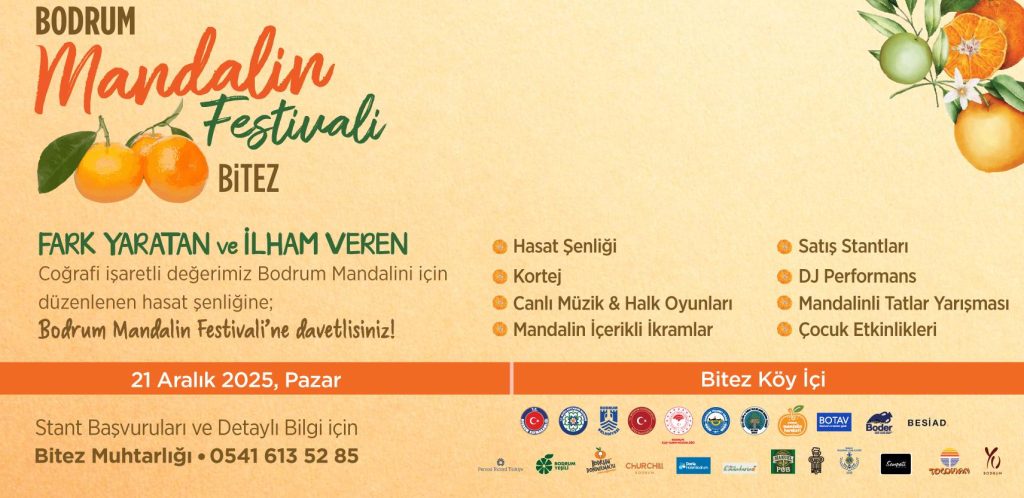 mandalin festivali bodrum mandalin bodrum festival hasat şenliği bitez köy içi hasat