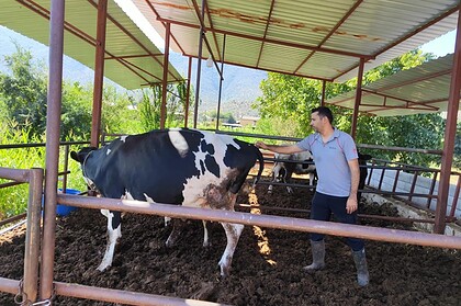 milas karantina, milas şap, milas şap karantina, şap, milas
