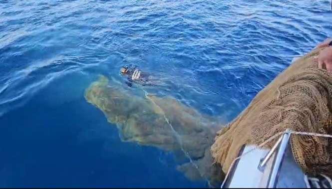 hayalet ağ temizliği, marmaris hayalet ağ, Muğla Tarım ve Orman İl Müdürlüğü