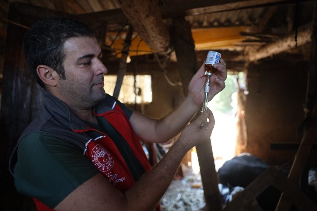 milas karantina, milas şap, milas şap karantina, şap, milas