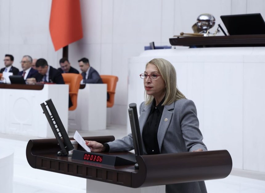 Süreyya Öneş Derici meclis açıklaması, CHP Muğla Milletvekili Süreyya Öneş Derici liyakat ,süreyya öneş derici tbmm
