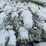 muğla soğuk hava muğla hava durumu meteoroloji muğla