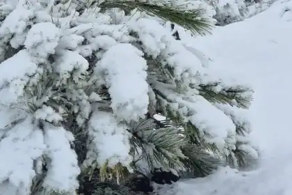 muğla soğuk hava muğla hava durumu meteoroloji muğla