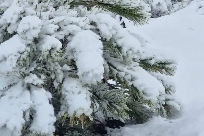 muğla soğuk hava muğla hava durumu meteoroloji muğla