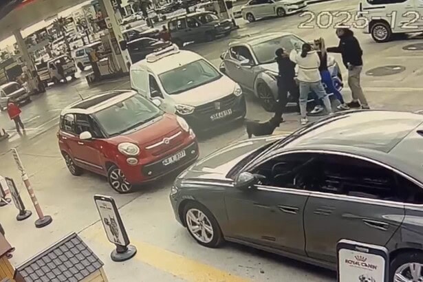 bodrum kaza, bodrum trafik kazası, bodrum, bodrum kavga, bodrumdaki kavga