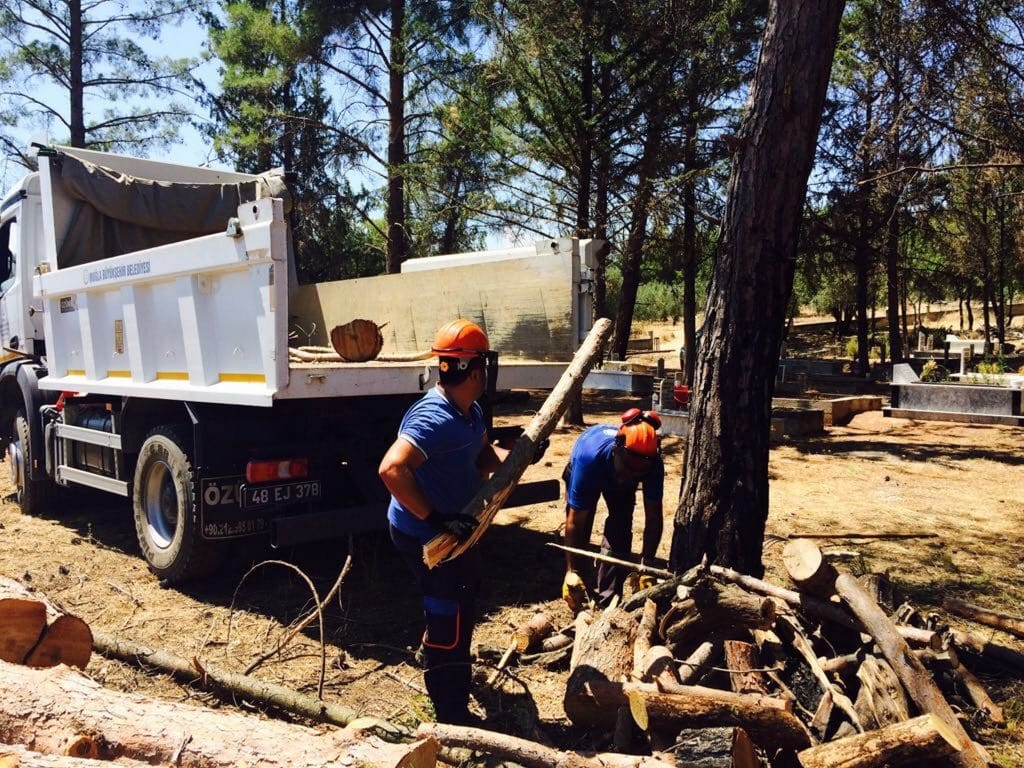 muğla yakacak desteği, muğla yakacak, muğla büyükşehir belediyesi yakacak, muğla büyükşehir belediyesi yakacak desteği, yakacak