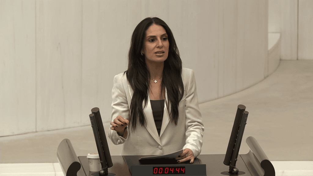 asgari ücret, tbmm asgari ücret, chp muğla milletvekili, chp muğla milletvekili gizem özcan, chp muğla milletvekili asgari ücret