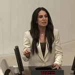 asgari ücret, tbmm asgari ücret, chp muğla milletvekili, chp muğla milletvekili gizem özcan, chp muğla milletvekili asgari ücret