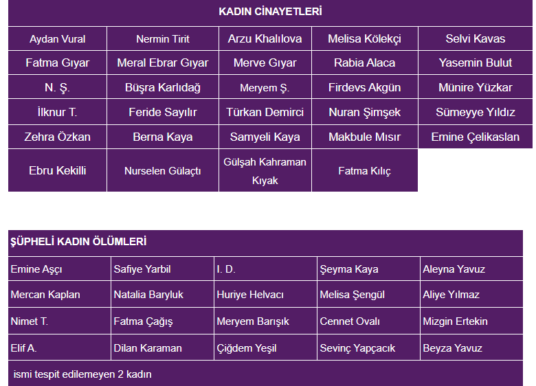 kadın cinayetleri, kadın cinayetleri raporu, kasım kadın cinayetleri, 2025 kasım kadın cinayetleri raporu, kadın cinayetlerini durduracağız platformu