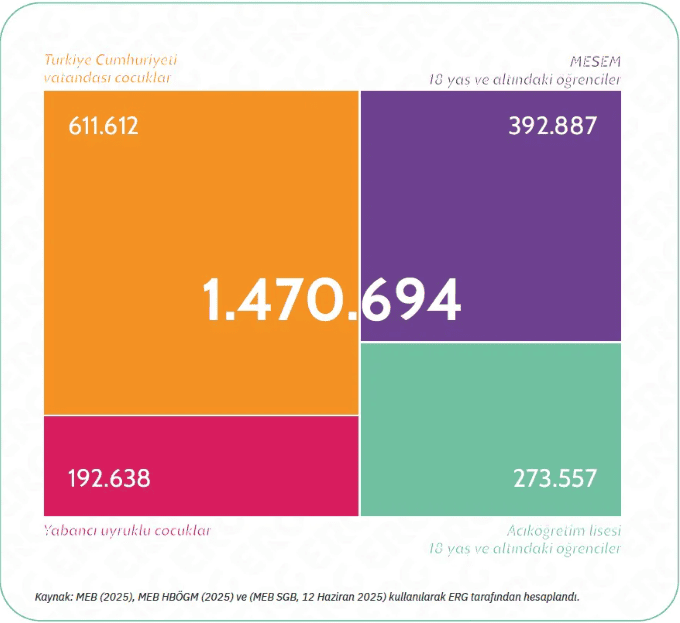 chp mesem, chp mesem açıklama, chp muğla gençlik kolları, chp muğla gençlik kolları mesem, mesem