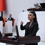 gizem özcan chp, gizem özcan, 2026 yılı merkezi yönetim bütçe kanunu teklifi, merkezi yönetim bütçe kanunu, bütçe kanunu